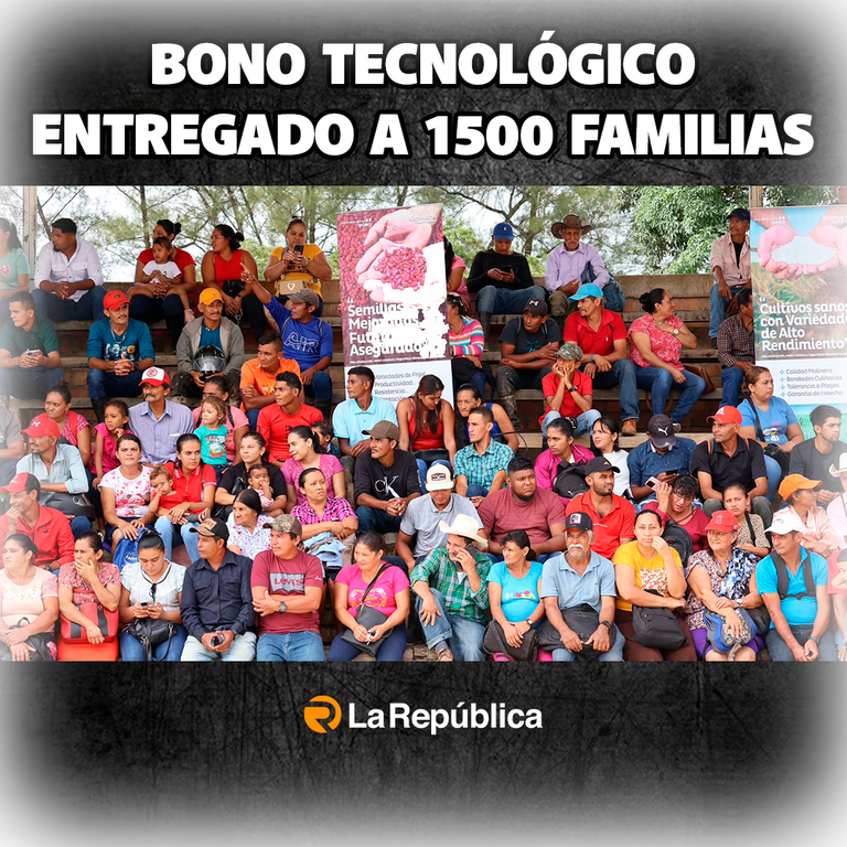 Bono Tecnológico Productivo fue entregado a 1,500 familias productoras en Patuca, Olancho - Cover Image